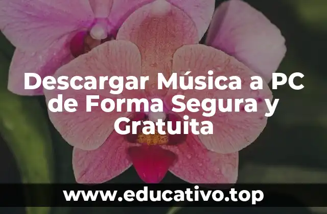 Descargar Música a PC de Forma Segura y Gratuita