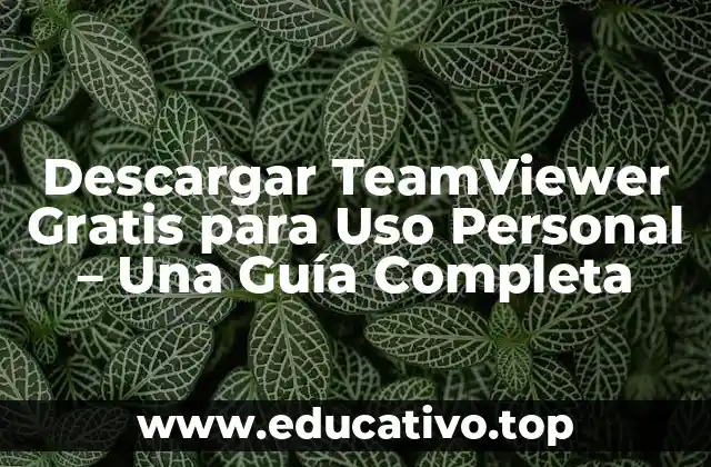 ¿Qué es TeamViewer y Cómo Funciona?