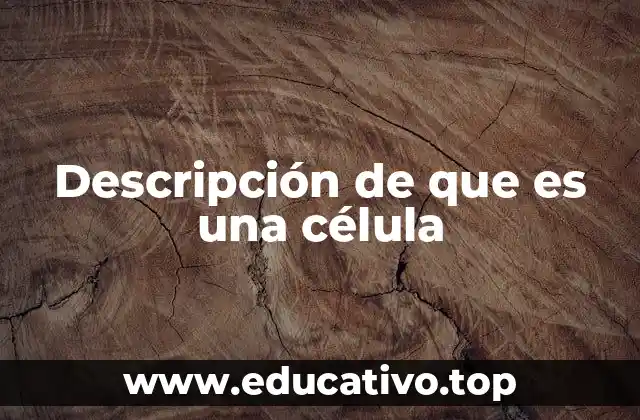 Descripción de que es una célula