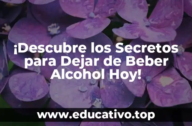 ¡Descubre los Secretos para Dejar de Beber Alcohol Hoy!