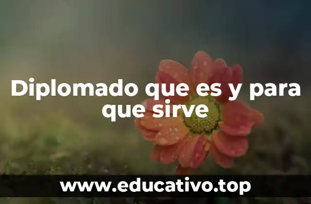 Diplomado que es y para que sirve