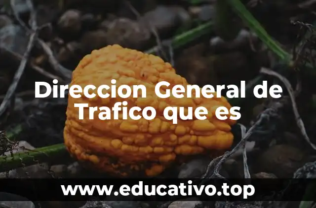 Direccion General de Trafico que es
