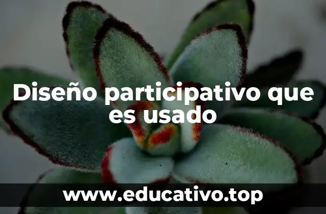 Diseño participativo que es usado