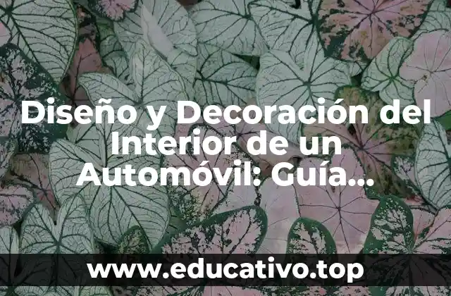 Diseño y Decoración del Interior de un Automóvil: Guía Completa