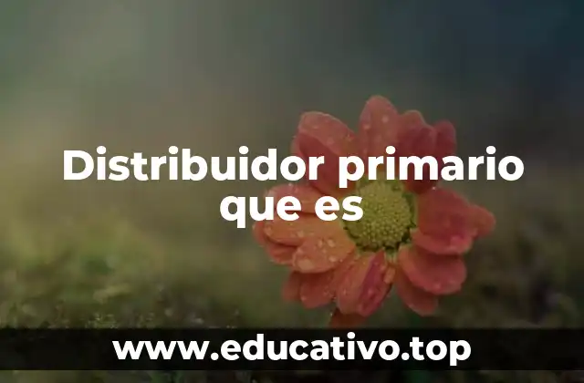 Distribuidor primario que es