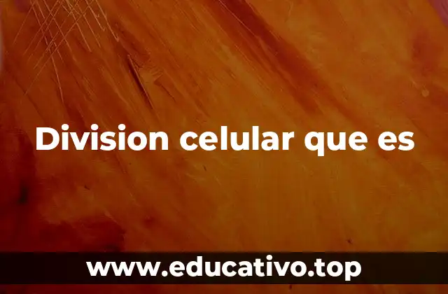 Division celular que es