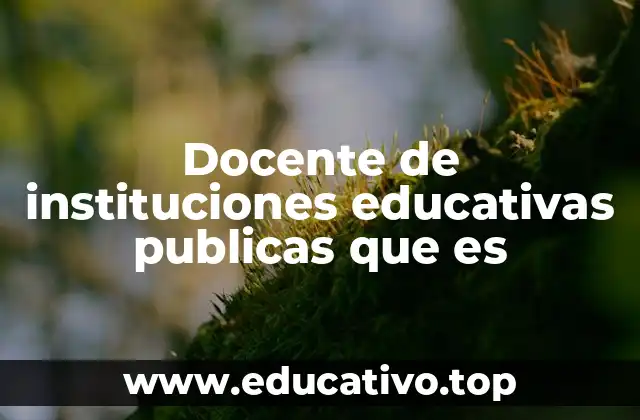 El papel del docente en el sistema educativo