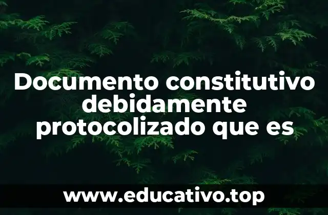 Importancia del protocolizado en la constitución de una sociedad