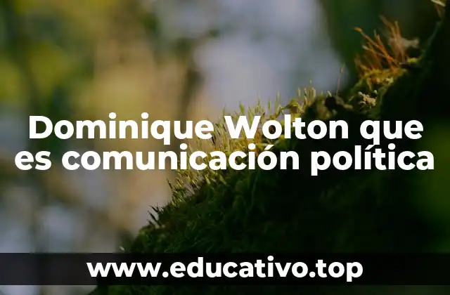 Dominique Wolton que es comunicación política