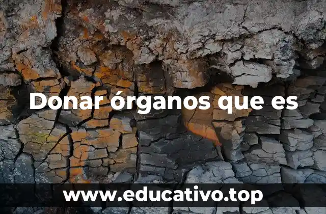 Donar órganos que es