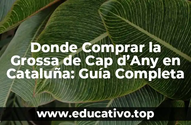 Donde Comprar la Grossa de Cap d’Any en Cataluña: Guía Completa