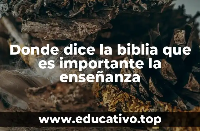 Donde dice la biblia que es importante la enseñanza