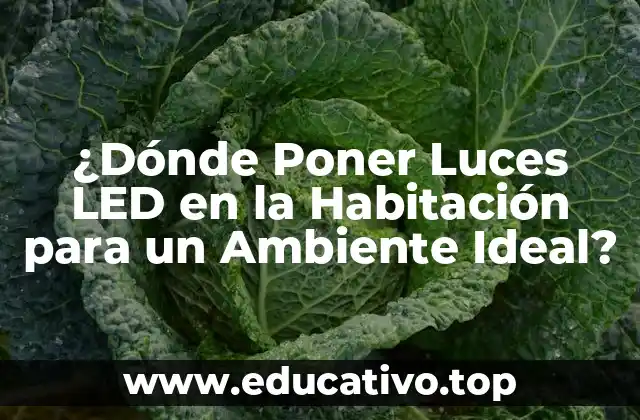 ¿Dónde Poner Luces LED en la Habitación para un Ambiente Ideal?