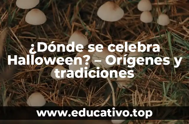 ¿Dónde se celebra Halloween? – Orígenes y tradiciones