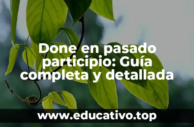 Done en pasado participio: Guía completa y detallada