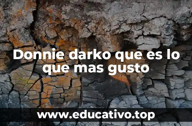 Donnie darko que es lo que mas gusto