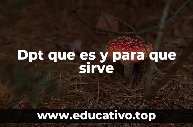 El papel del DPT en el entorno empresarial