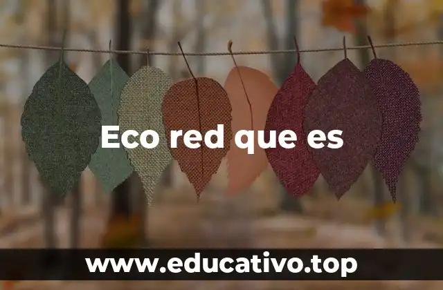 Eco red que es