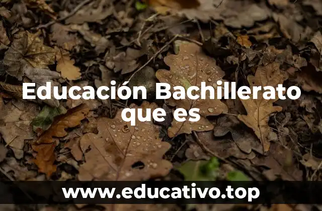 Educación Bachillerato que es