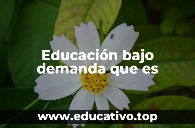 Cómo la educación bajo demanda transforma el aprendizaje moderno