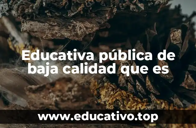 Educativa pública de baja calidad que es