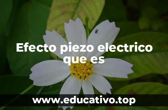 Efecto piezo electrico que es