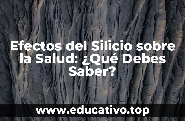 Efectos del Silicio sobre la Salud: ¿Qué Debes Saber?
