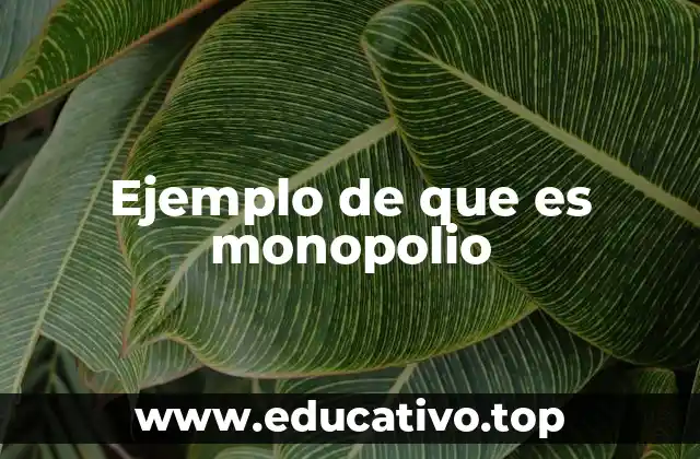Ejemplo de que es monopolio