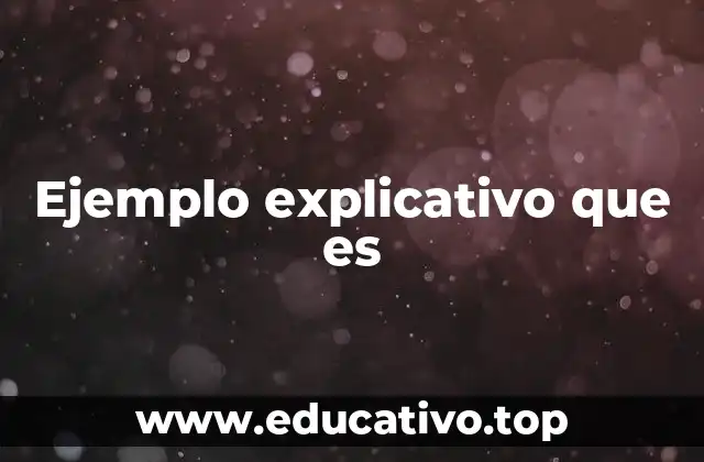 Ejemplo explicativo que es