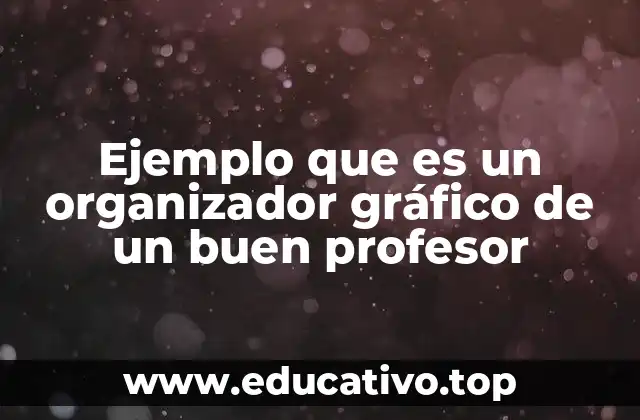 Ejemplo que es un organizador gráfico de un buen profesor