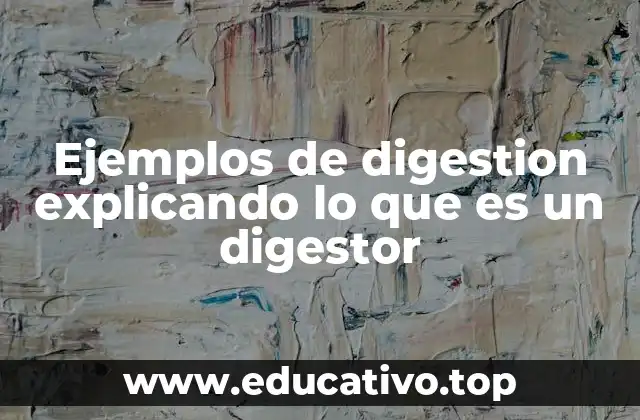Ejemplos de digestion explicando lo que es un digestor