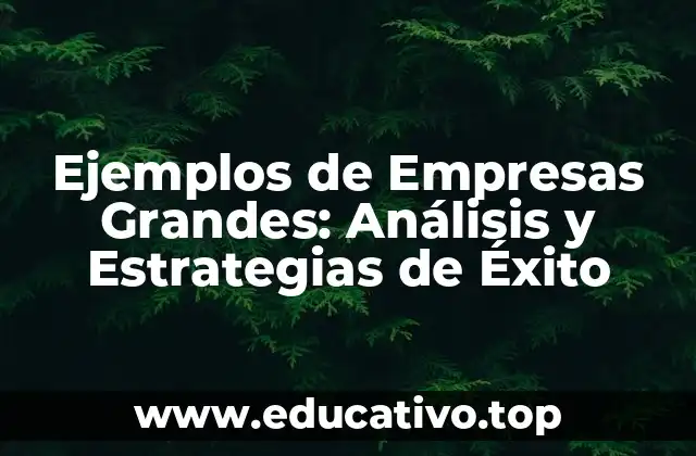 Ejemplos de Empresas Grandes: Análisis y Estrategias de Éxito