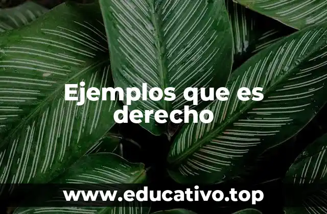 Ejemplos que es derecho