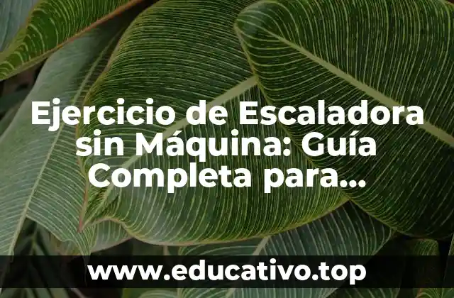 Ejercicio de Escaladora sin Máquina: Guía Completa para Principiantes