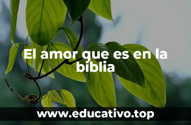 El amor que es en la biblia