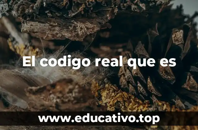 La importancia de conocer el código real que es