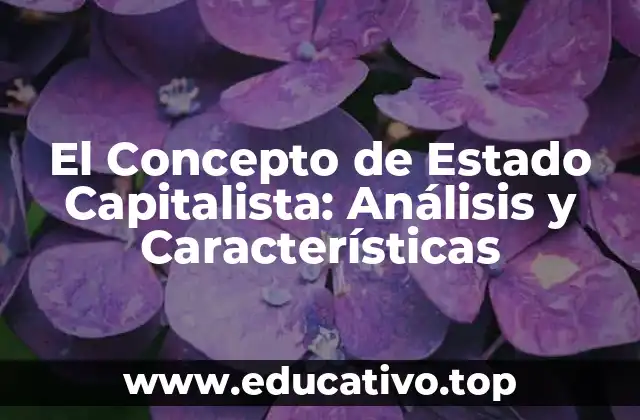El Concepto de Estado Capitalista: Análisis y Características