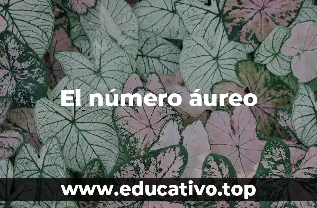 La presencia del número áureo en el arte y la arquitectura