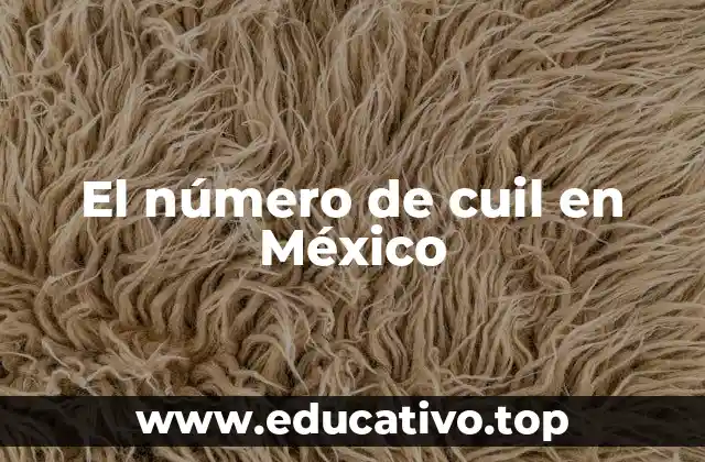 La importancia del número de Cuil en el sistema de seguridad social