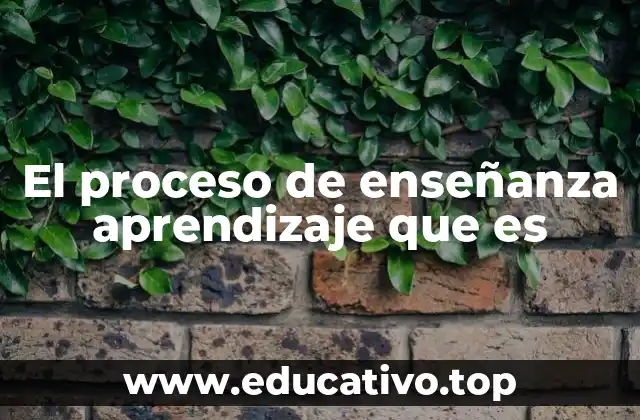 El proceso de enseñanza aprendizaje que es