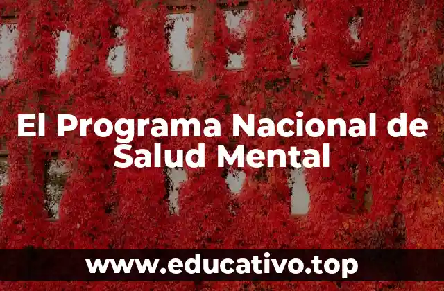 La importancia de integrar salud mental en la atención pública