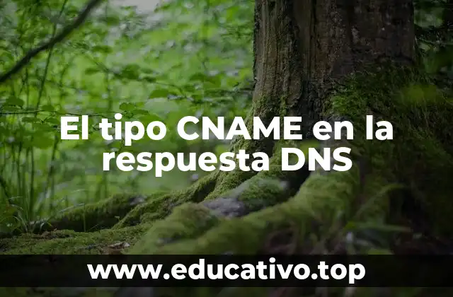 La importancia de los alias en la infraestructura de red