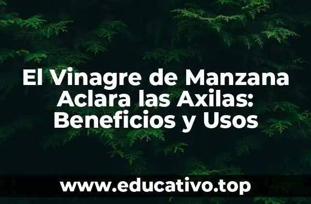 El Vinagre de Manzana Aclara las Axilas: Beneficios y Usos