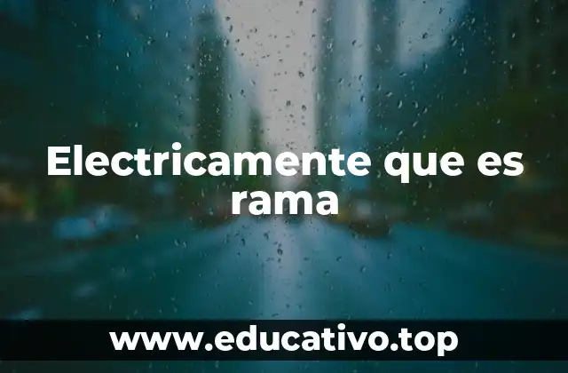 El desarrollo histórico de la rama eléctrica