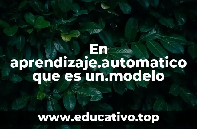 En aprendizaje.automatico que es un.modelo