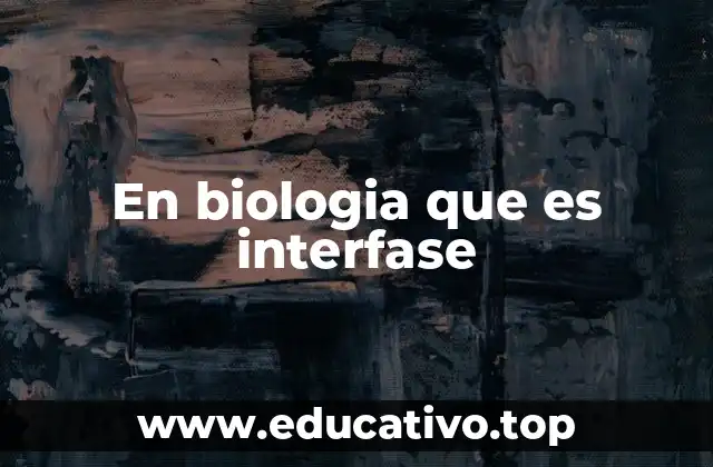 La interfase como etapa clave del ciclo celular