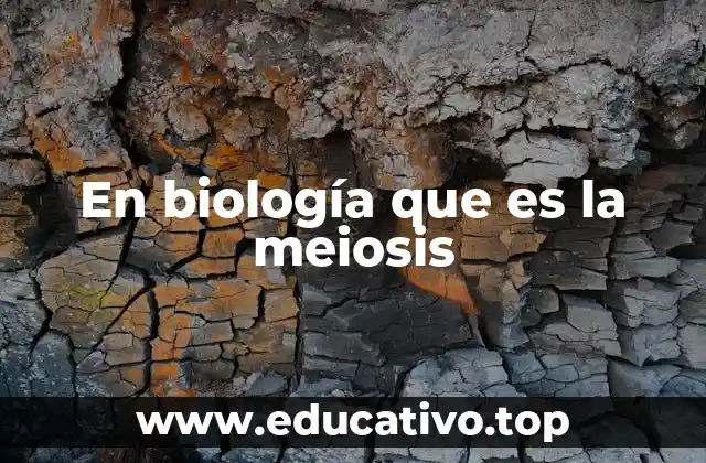 En biología que es la meiosis