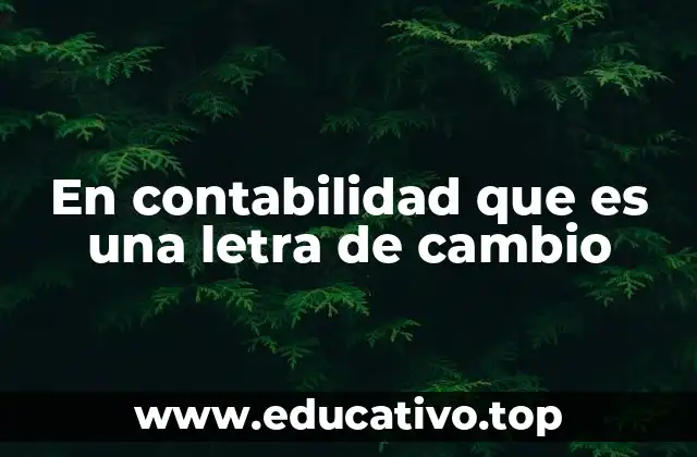 El papel de la letra de cambio en las operaciones comerciales