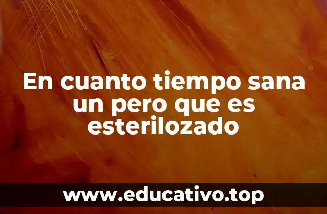 Cómo influye la esterilización en la cicatrización de una herida