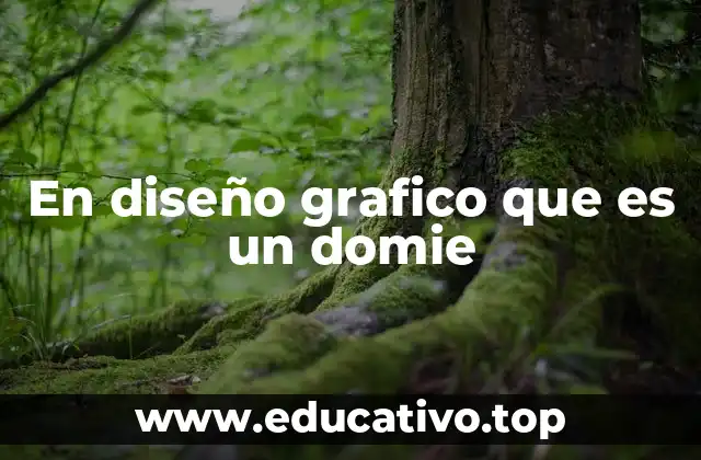 En diseño grafico que es un domie